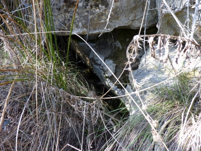 Fuente del Royo del Encuarte - imagen 2