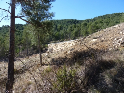 Fuente del Royo del Encuarte - imagen 4