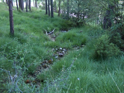 Fuente del Acebo - imagen 5