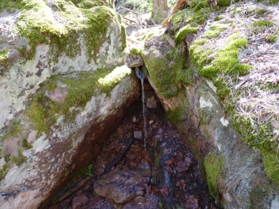 Fuente del Avellanar - imagen 1