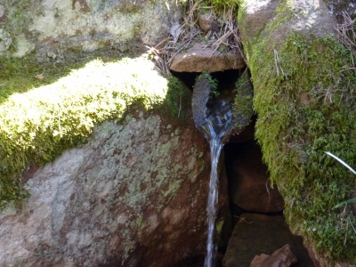 Fuente del Avellanar - imagen 2