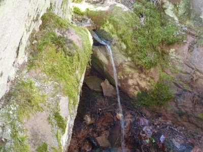 Fuente del Avellanar - imagen 3