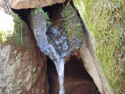 Fuente del Avellanar - imagen 4