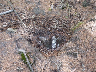 El Bañaero de los Gorrinos - imagen 2