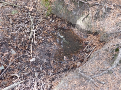 El Bañaero de los Gorrinos - imagen 3