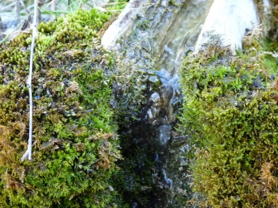 Fuente del Barranco de la Huerta - imagen 5