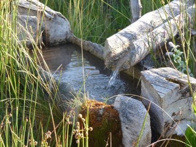 Fuente de las Barrosillas - imagen 5