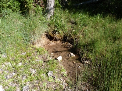 Fuente de la Canaleja - imagen 1