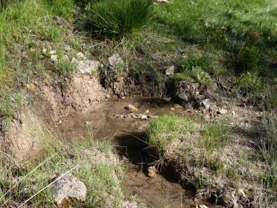Fuente de la Canaleja - imagen 2
