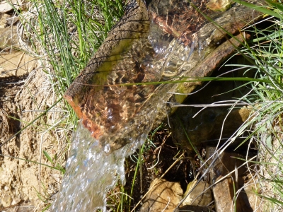 Fuente de la Canaleja - imagen 4