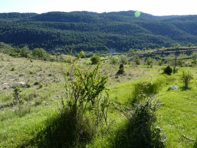 Fuente de la Canaleja - imagen 5