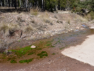 Fuente de la Cañá Ancha - imagen 1