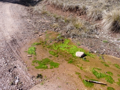 Fuente de la Cañá Ancha - imagen 2