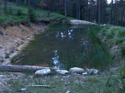 Fuente de Cañada Espinosa - imagen 2