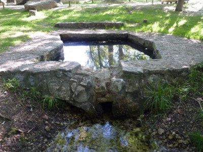Fuente de la Dehesilla - imagen 5