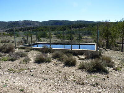 Fuente de Cañá Aliagosa - imagen 6