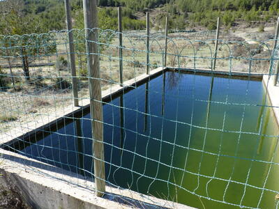 Fuente de Cañá Aliagosa - imagen 7