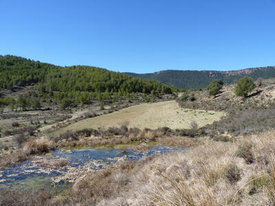 Fuente de Cañá Aliagosa - imagen 9