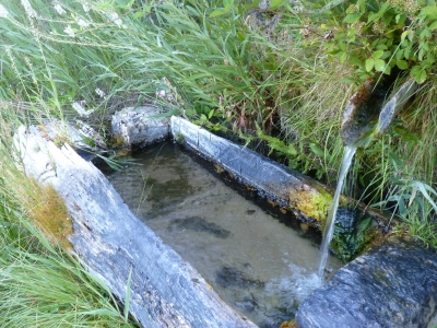Fuente Juan Buena - imagen 2