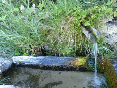 Fuente Juan Buena - imagen 3