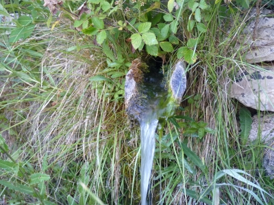 Fuente Juan Buena - imagen 4