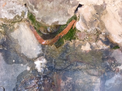 Fuente del Majal Chico - imagen 5