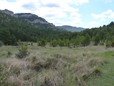 Manantial del Ojuelo I - imagen 4