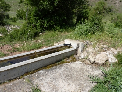 Fuente de la Pimpollá Santana - imagen 1