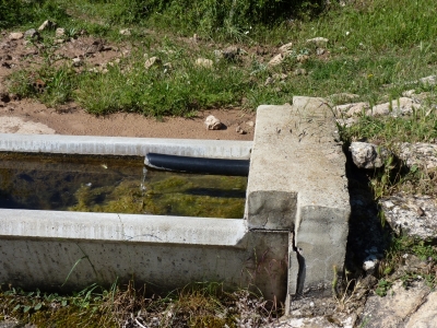 Fuente de la Pimpollá Santana - imagen 3