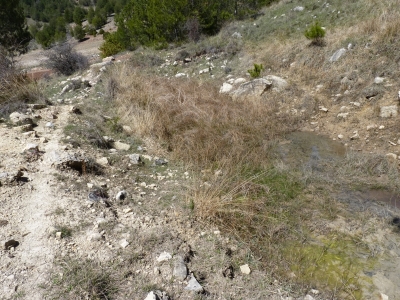 Fuente del Puntal del Horcajo - imagen 1