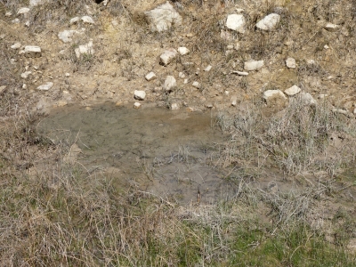 Fuente del Puntal del Horcajo - imagen 2
