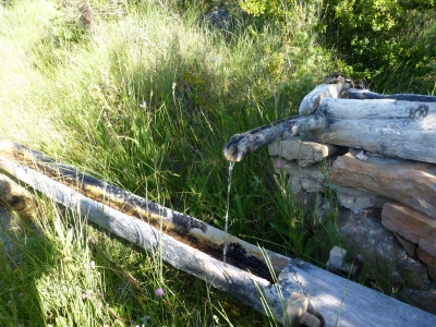 Fuente de Sacea - imagen 2