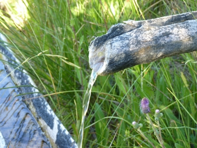 Fuente de Sacea - imagen 4
