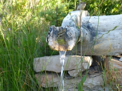 Fuente de Sacea - imagen 5