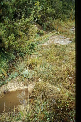 Fuente de la Laguna - imagen 1