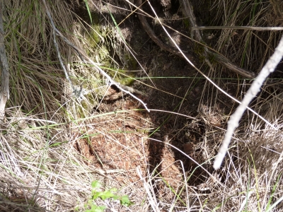 La Tobilla - imagen 3