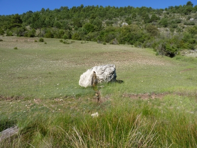 Fuente del Tormo - imagen 1