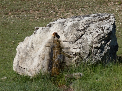 Fuente del Tormo - imagen 2