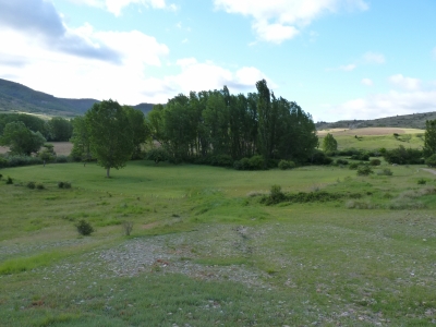 Fuente del Villar de las Nogueras - imagen 6