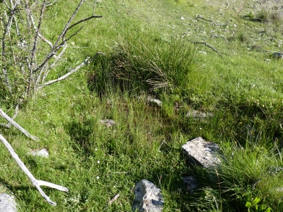 Fuente de Yuncosa - imagen 1