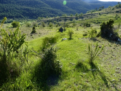 Fuente de Yuncosa - imagen 4