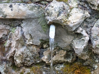 Fuente de la Ardilla - imagen 2