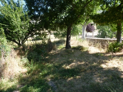 Fuente de la Colmenilla - imagen 4