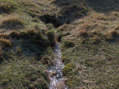 Fuente de los cubillejos - imagen 1