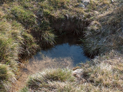 Fuente de los cubillejos - imagen 3
