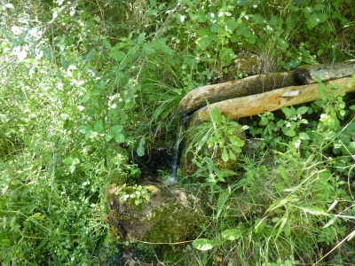 Fuente de los Huertezuelos - imagen 4