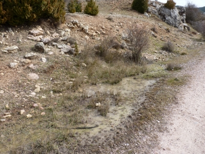 Fuente de los Asnos - imagen 2