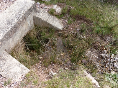Fuente de los Asnos - imagen 4