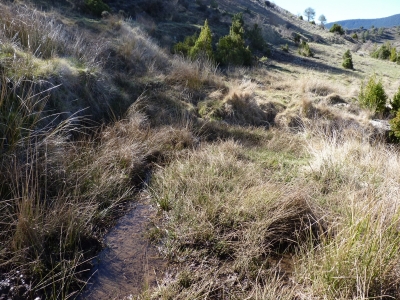Fuente de Barranco serrano - imagen 1