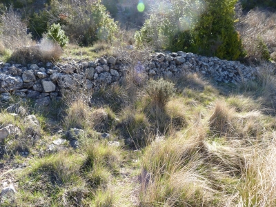 Fuente de Barranco serrano - imagen 5